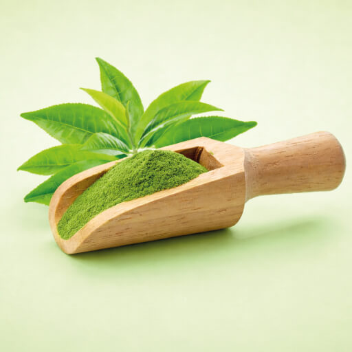 green tea extract