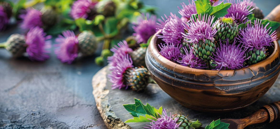 benefits of milk thistle extract everything you need to know