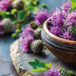 benefits of milk thistle extract everything you need to know