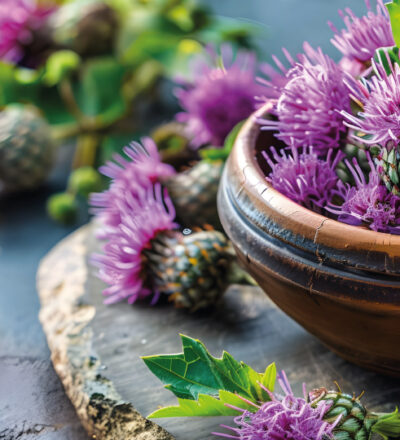 benefits of milk thistle extract everything you need to know