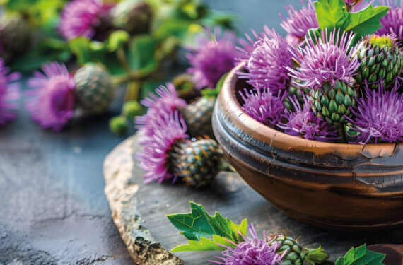 benefits of milk thistle extract everything you need to know